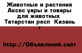 Животные и растения Аксесcуары и товары для животных. Татарстан респ.,Казань г.